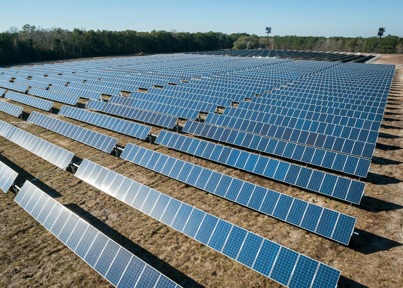 Close-up of photovoltaic cells showing busbar detail